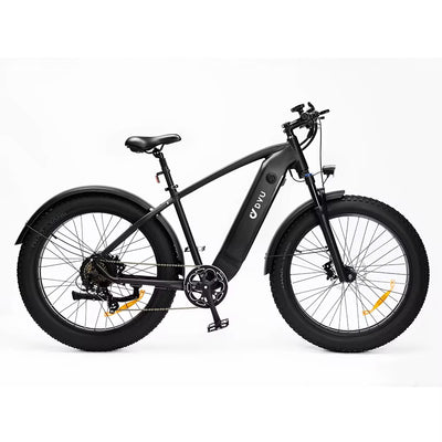 DYU King 750 26-Inch Fat Tire Electric Bike
