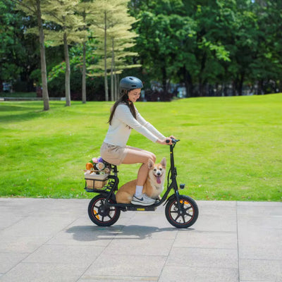 Vélo Électrique Pliable DYU C4 14 Pouces