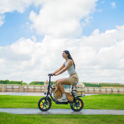 Vélo Électrique Pliable DYU C4 14 Pouces